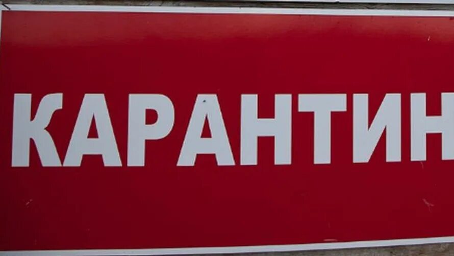 Курантин. 5 будет карантин. Карантин табличка. Фото москвы в карантин. Карантин табличка.