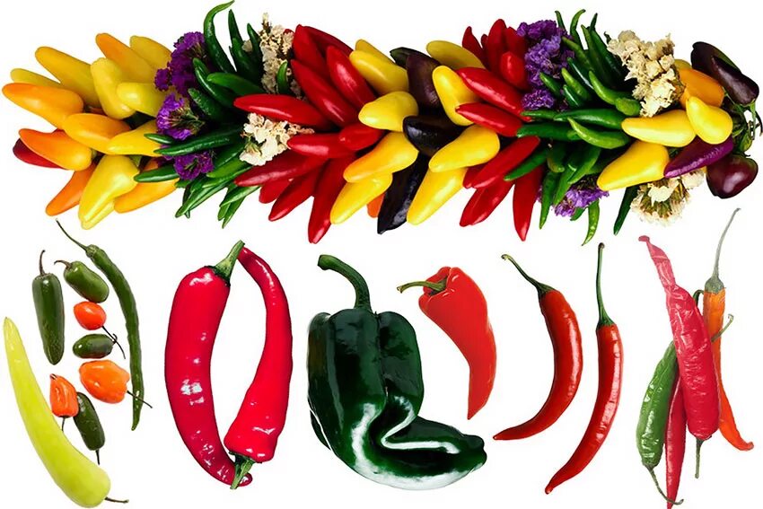 Сладкие сорта стручкового перца. Перец слабоострый сорта. Перец острый названия сортов. Перец астраханский сладкий. Семена перец острый чили.