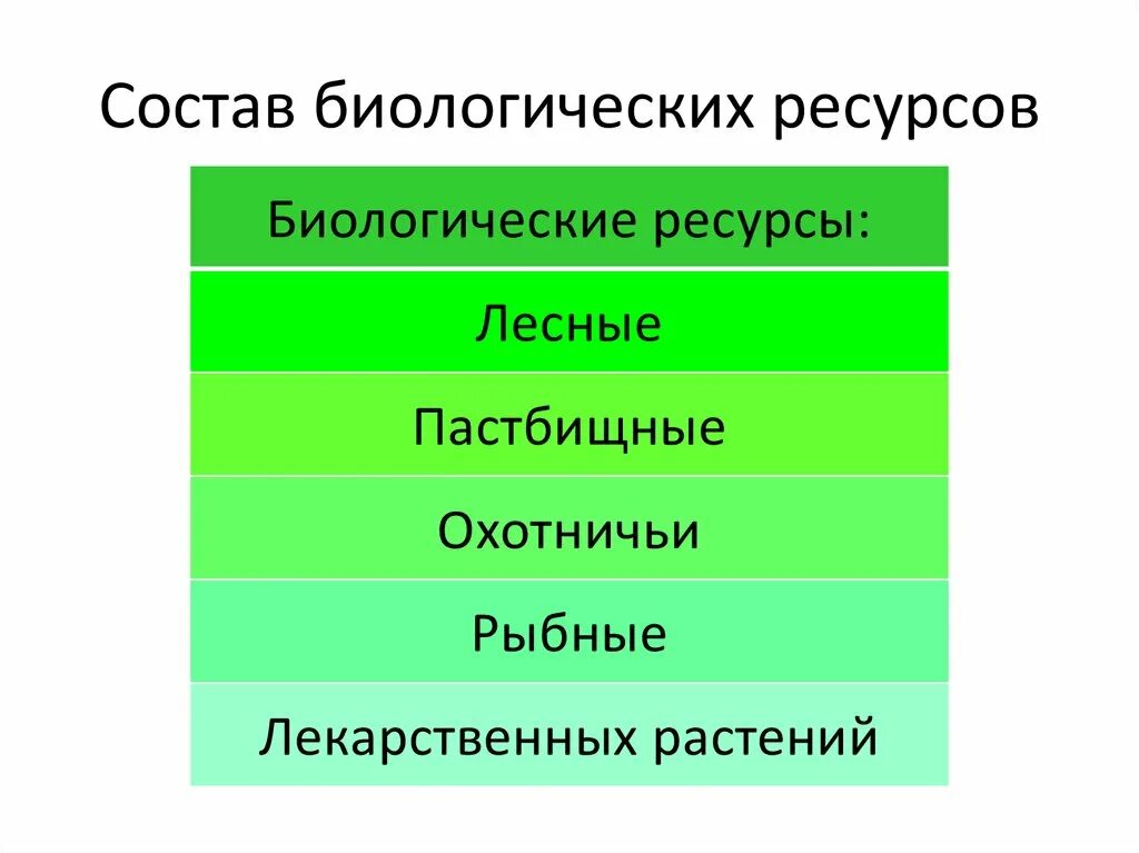 Состав биологических ресурсов. Виды биологических ресурсов. Биологические ресурсы. Примеры биологических ресурсов.