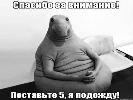 Ставь подожди