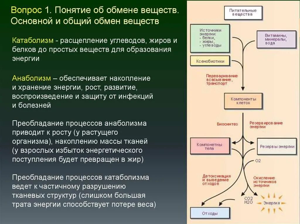 При расщеплении какого соединения выделяется свободный кислород