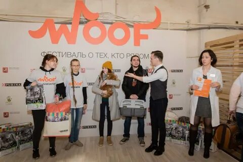 Фестиваль бездомных животных