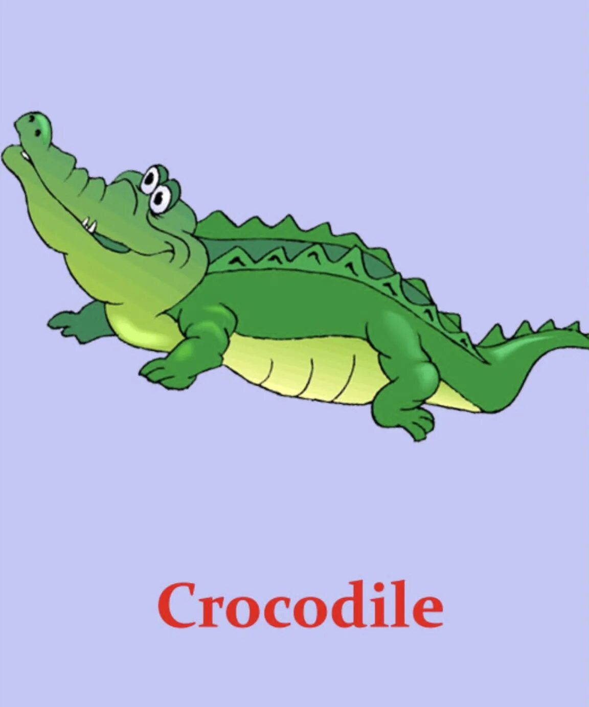 Схема слова крокодил. Crocodile карточка для детей. Карточки животных для детей крокодил,. Крокодил на английском языке. Карточка крокодил на английском.