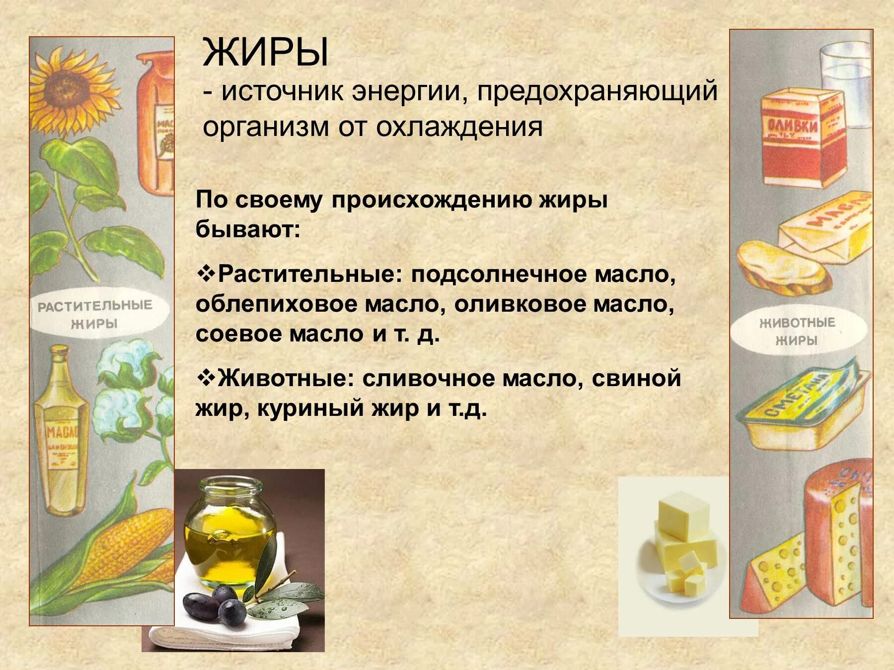 Почему жиры. Источники жиров. растительные и животные жиры. жиры растительного происхождения. полезные и вредные жиры.