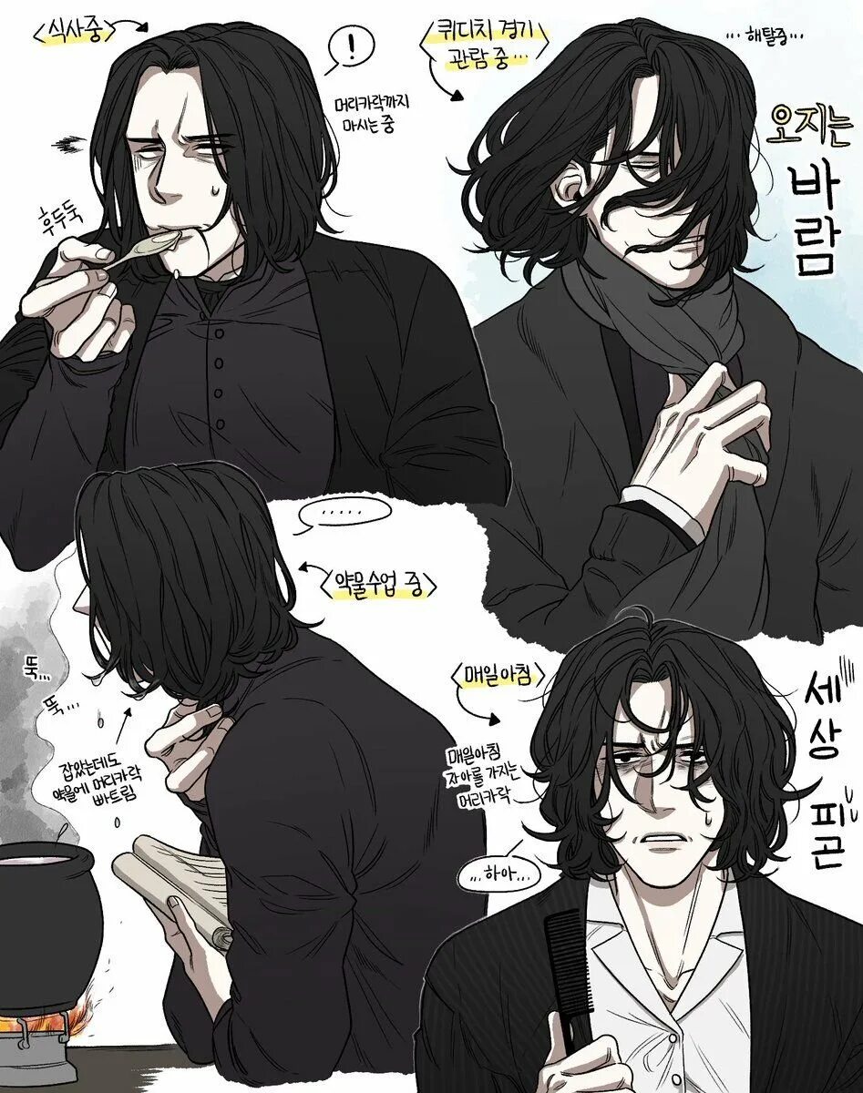 Sirius reader