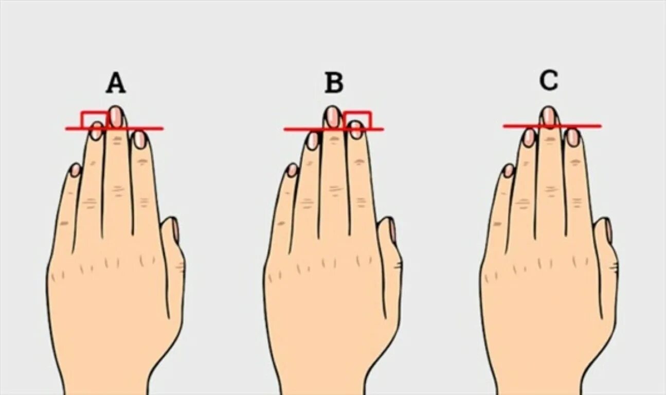 Сколько сантиметров пальцы. Соотношение указательного и безымянного пальца. Безымянный палец длиннее указательного. Безымянный палец длдлиннее указательного. Соотношение длины безымянного и указательного.