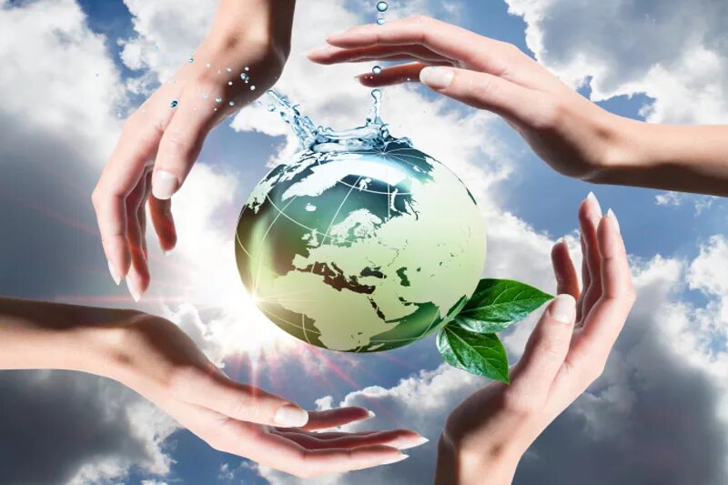 Экологические блага. Партнерство экология. Environmental Protection картинки. Protect our environment. Protect our planet