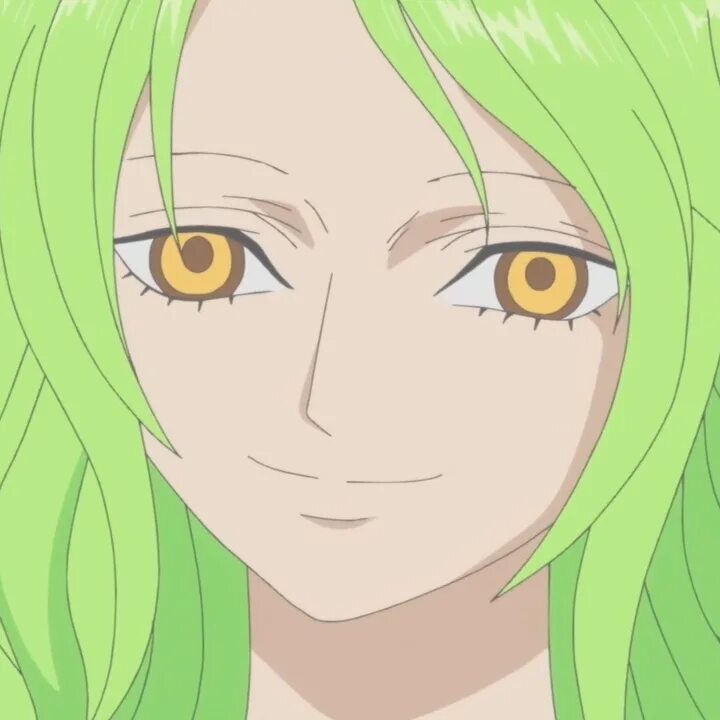 Monet one piece. Моне ван пис. Монет ван пис. Гарпия ван пис. Monet one piece.