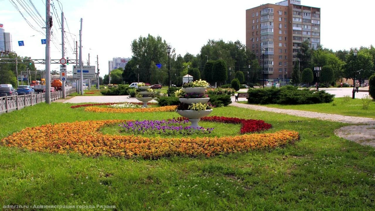 Цветы рязань сайт. Клумба Рязань. Цветники Рязань. Клумба Рязань цветы. Рязань улица свободы 13 клумба.