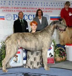 Зоопортал новосибирск