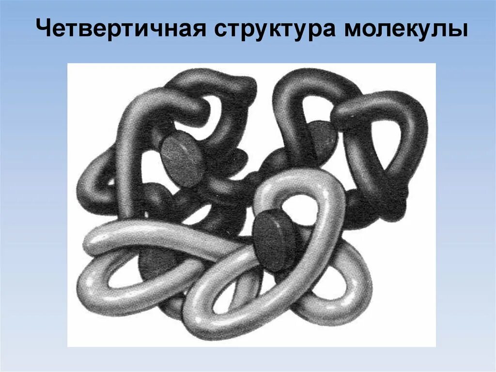 Четвертичная структура. Четвертичная структура молекулы белка. Белки с четвертичной структурой. Четвертичная структура белковой молекулы. Четвертичная структура белка строение.