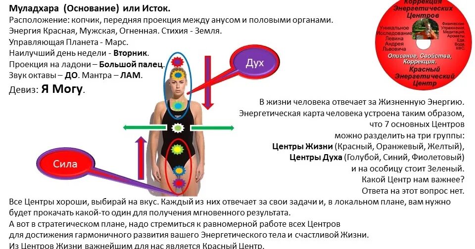 Чакра муладхара раскрытие. Корневая чакра муладхара. чакры человека муладхара. муладхара за что отвечает. муладхара чакра за что отвечает.