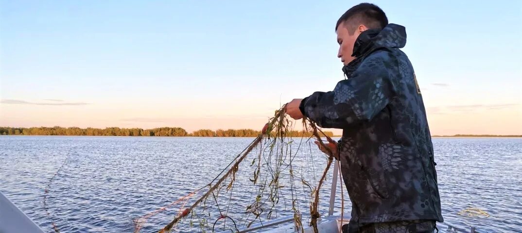 Сеть для рыбалки. Ловля сетями. Рыбак с сетью. Незаконное рыболовство.