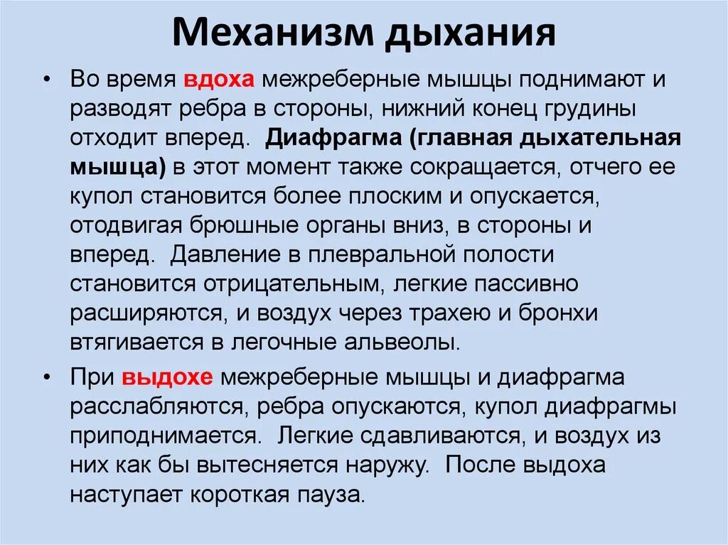 Вдох значение. Механизм дыхания. Механизм дыхания человека кратко. Опишите механизм осуществления дыхания. Характер механизма дыхания?.