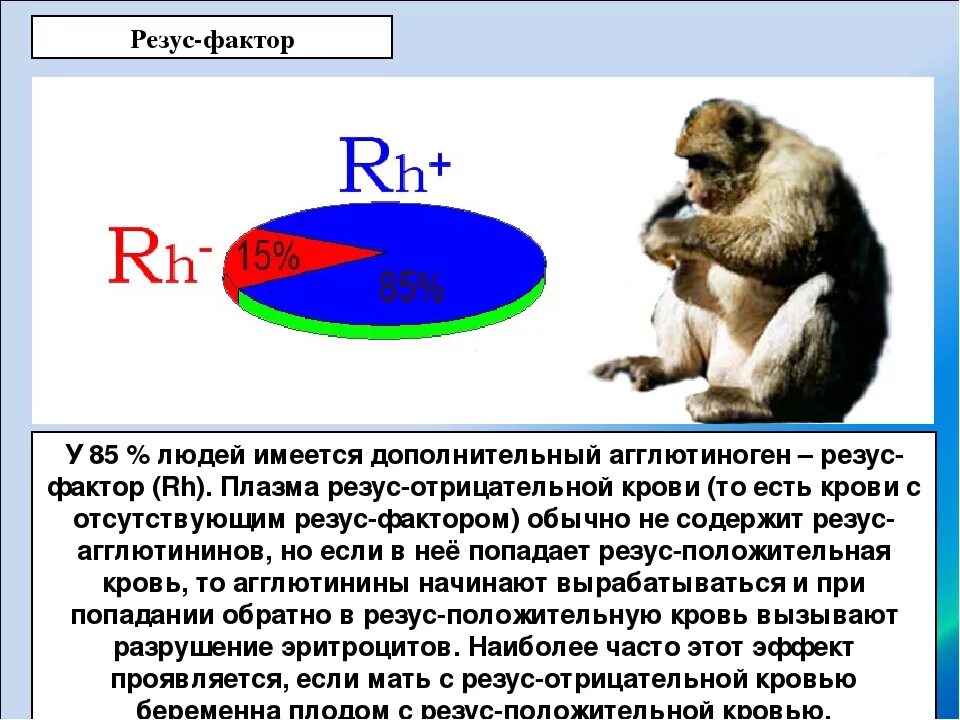 Резус фактор это признак. Резус фактор норма. Резус-фактор крови отрицательный. Процент людей с резус отрицательной кровью. Известные люди с отрицательным резус фактором крови.