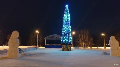 Елка в новокузнецке