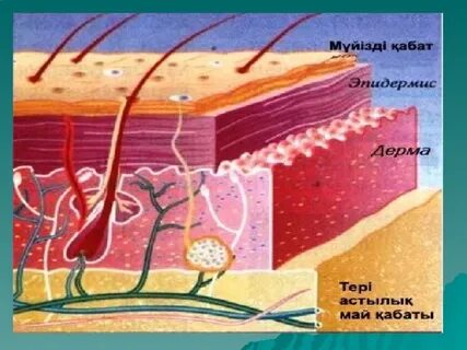Әзірбайжан порно секс Әзірбайжан әйелмен онлайн