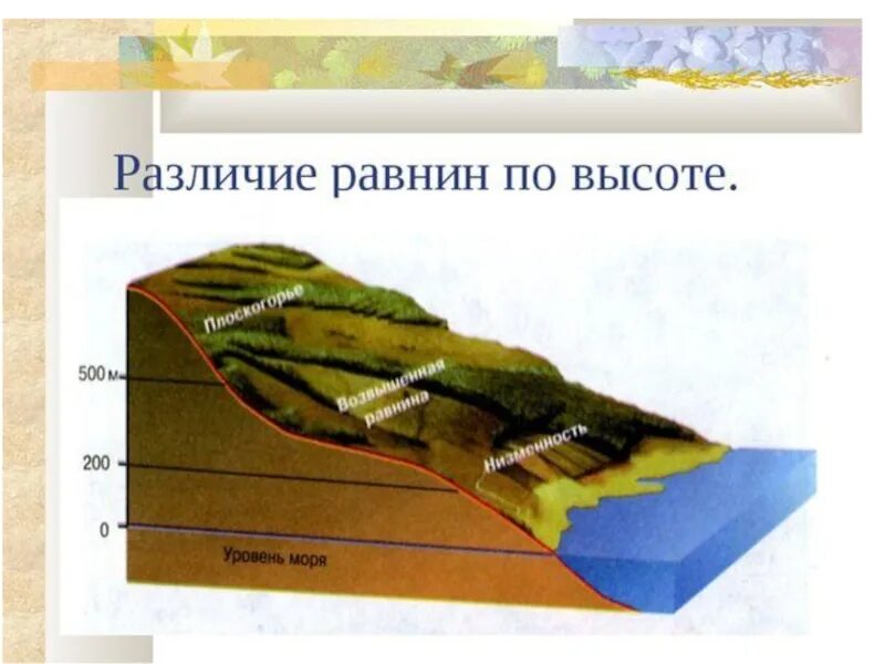 Равнины урок географии 5 класс. Различие равнин по высоте. Схема равнины по высоте. Схема различие равнин по высоте. Равнины 6 класс.