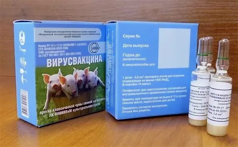 Вакцина против КЧС свиней. Вакцина ЛК-ВНИИВВИМ против КЧС. Вакцинация свиней против классической чумы. Вакцина сухая против КЧС свиней.