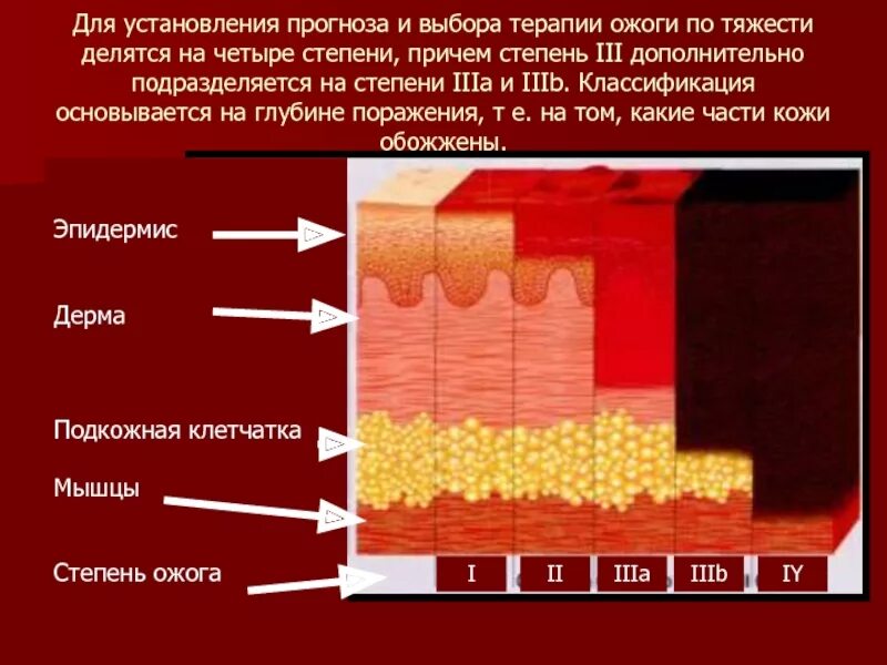 Повреждение верхнего слоя кожного покрова. Ожоги первой и второй степени. Повреждение верхнего слоя кожного покрова. Термический ожог 1 степени. Причины нарушения кожных покровов 8 класс.