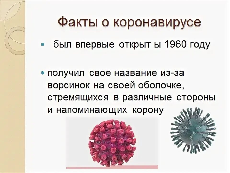 Сп профилактика новой коронавирусной инфекции