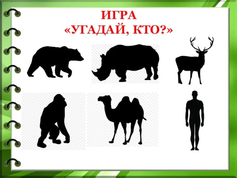 Угадай животное по картинке. Отгадай зверя. Отгадайте животное по картинкам. Угадывать животных для детей. Игра угадай какой человек