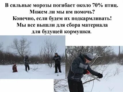 Мороз стать сильнее