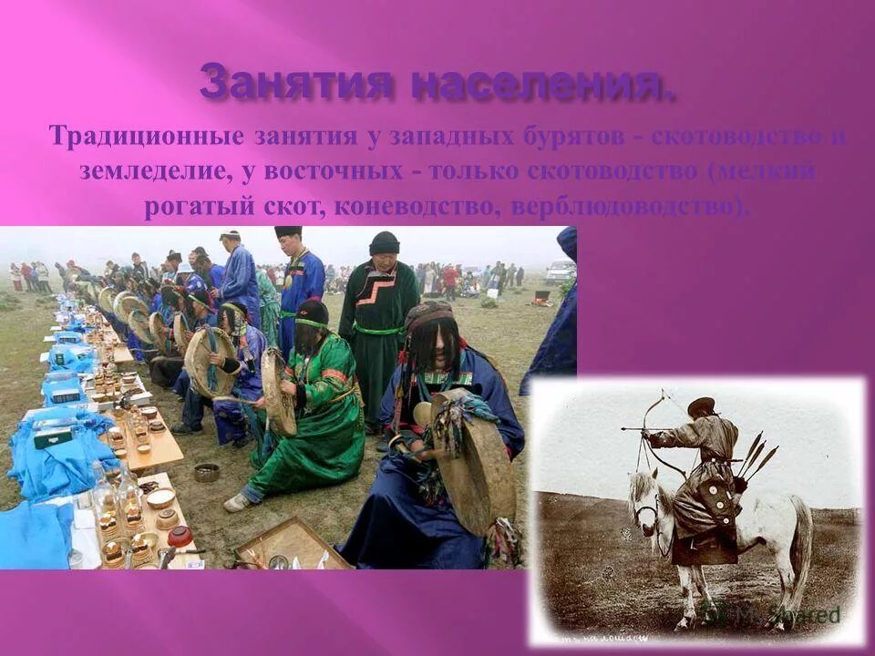 Традиционное занятие населения. Кочевое животноводство сахары. Промысел жителей тундры. Занятия жителей тундры. Традиционное занятие населения.