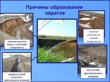 Какое действие человека препятствует образованию оврагов