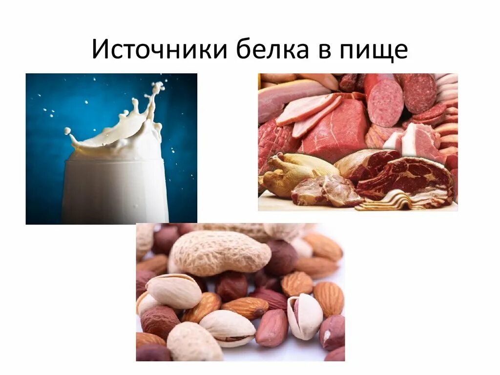 Источник белковых продуктов. Источники белка. Источники белка в пище. Источники белка в продуктах. Основные источники белка в пищевых продуктах.