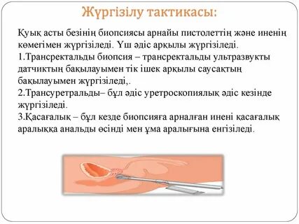 Наташа Королева xxx фотосуреттері