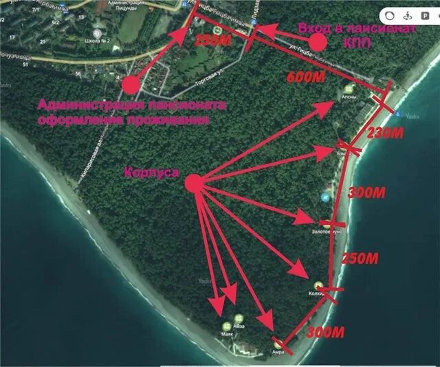ОПК Пицунда расположение корпусов. Пансионат курорт Пицунда на карте Абхазии. Курорт Пицунда пансионат схема. Курорт Пицунда Абхазия карта корпусов. Пансионаты карта абхазия