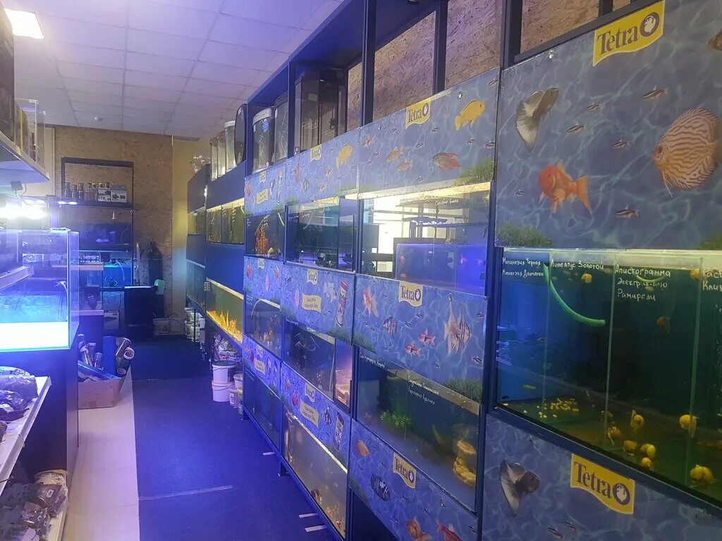 адлер магазин для животных. зоомагазин адлер. зоомагазин адлер. зоомагазин адлер. зоомагазин адлер демократическая.