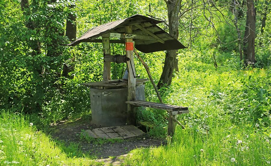 родник адрес. санаторий родник мелеуз. природа удмуртии родники. родник три ивана. урняк нурлатский район родник.