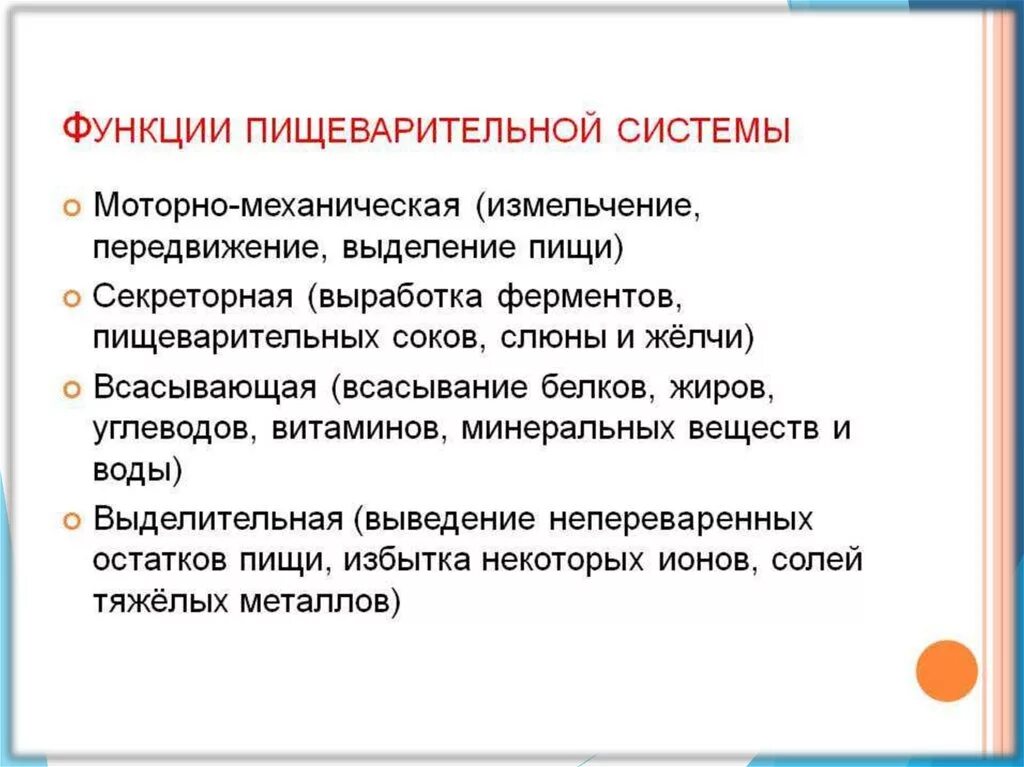 Основные функции пищеварительной системы человека. Перечислите функции пищеварительной системы. Перечислите основные функции органов пищеварительной системы.. Функции пищеварительной системы моторная механическая.