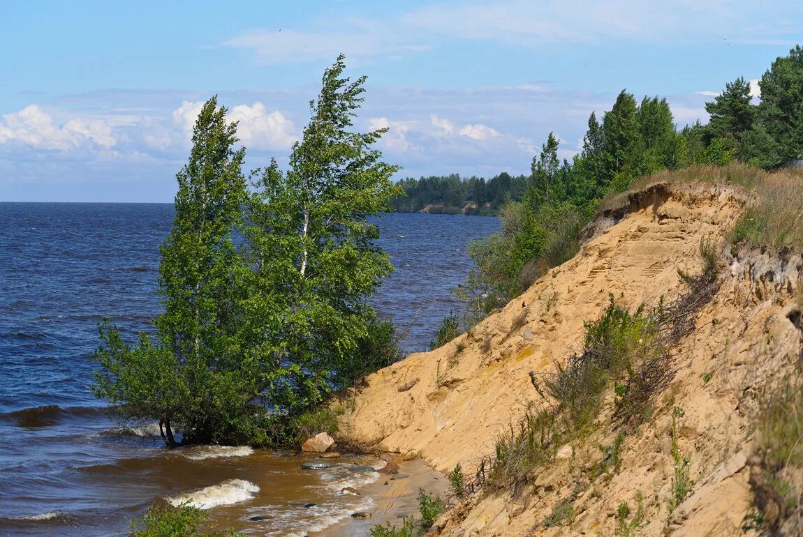 Берег рыбинского водохранилища