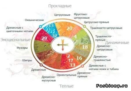Запахи список
