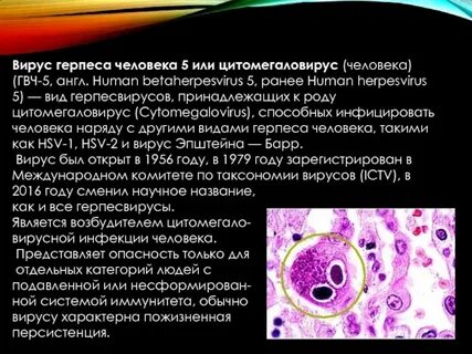 Вирус цитомегалии