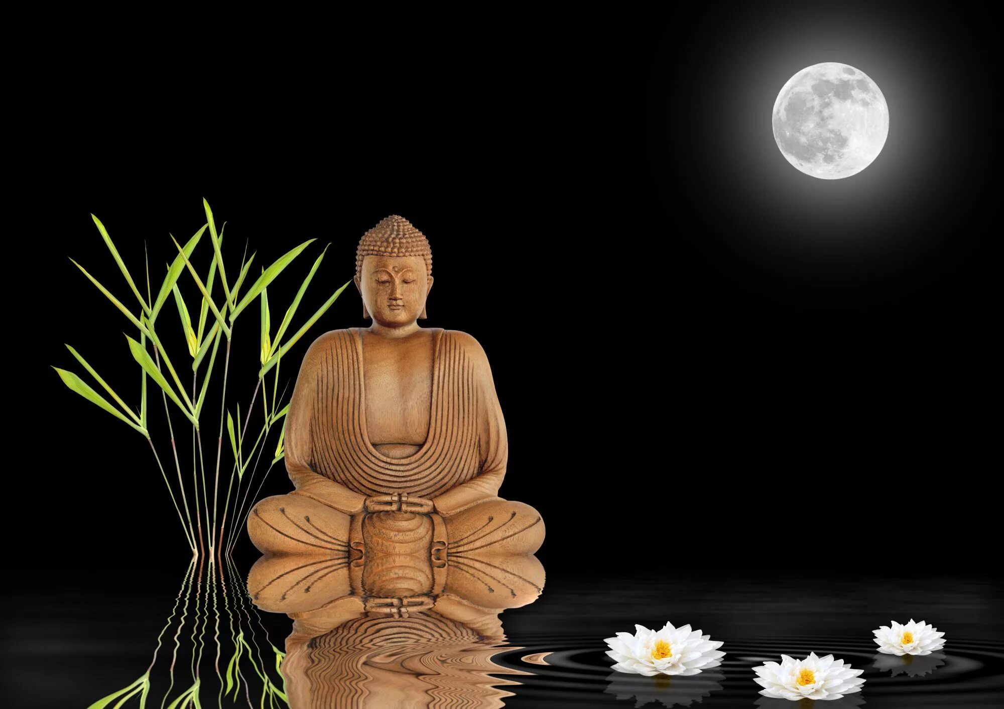 Видео 4 на дзен. Будда Лотос дзен. Бамбук медитация. Икебана дзен буддизм. Пустой бамбук медитация.