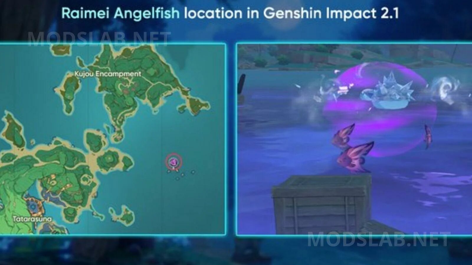 Genshin Impact: How To Catch Raimei Angelfish - Gamers Word