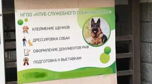 Клуб собаководства сайт. Клуб элита новороссийск собаководства. собаководства новороссийск нголс. клуб собаководства кинос город славянск.