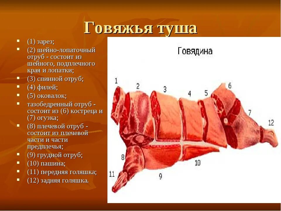 Верхний тонкий край. Части передней четвертины говяжьей туши. Назовите части передней четвертины говяжьей туши. Схема разделывания говяжьей туши. Схема сортовой разделки говяжьей туши.