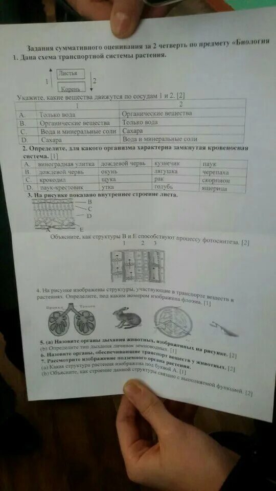 Соч биология 7 класс 2 четверть. Сор по биологии 7 класс 2 четверть. Сор по биологии 7 класс 3 четверть. Соч по биологии 7 класс 3 четверть