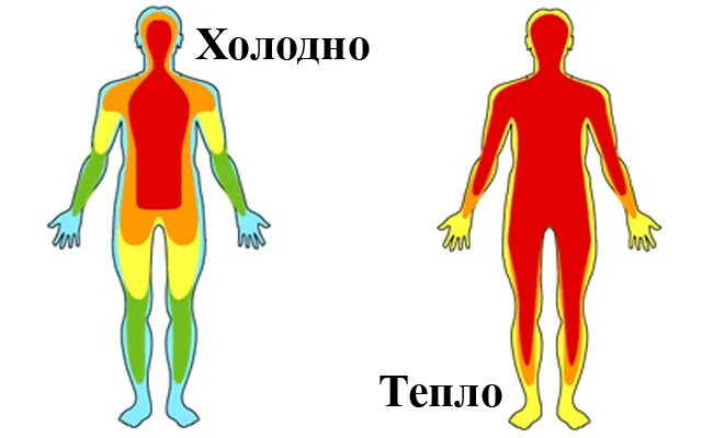 Холодные руки при давлении. Тепло от холодных рук. Холодные руки и слабость. Температура а руки и ноги холодные у взрослого. Ноги от холода слабеют.