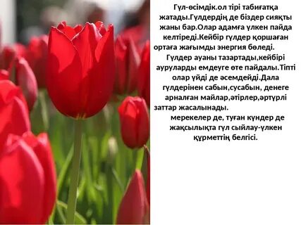 аяқпен пениске тиеді