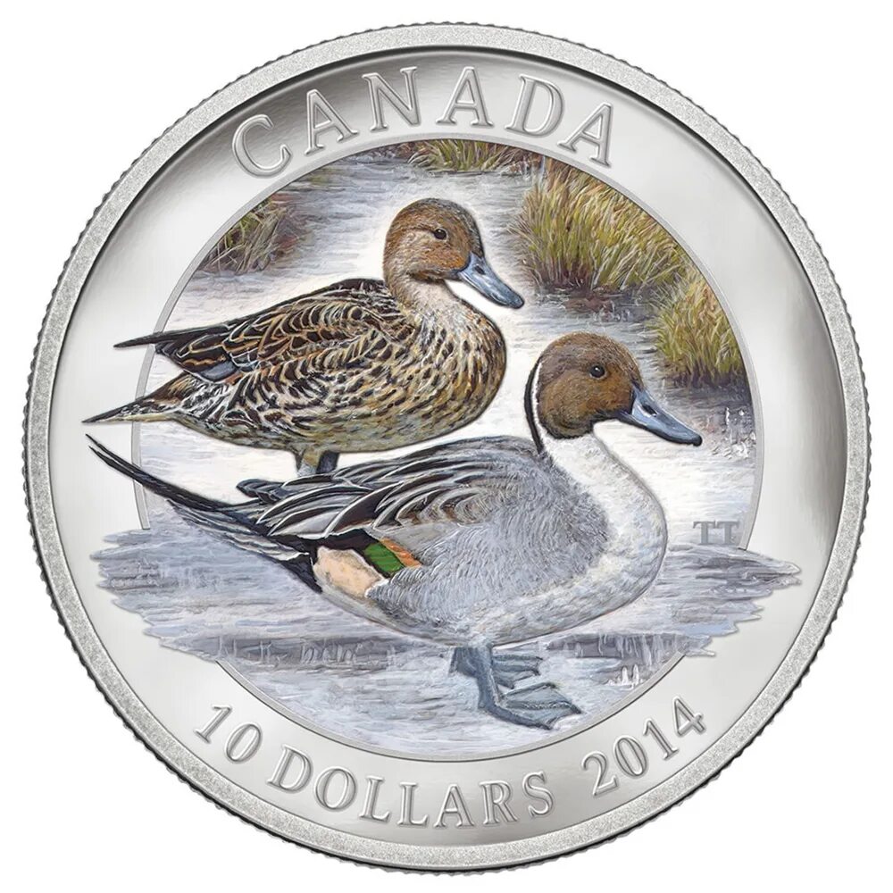 Банкноты с птицами. Монет утки. Серебряные монеты Канады. Купюра с птицей. Birds монеты