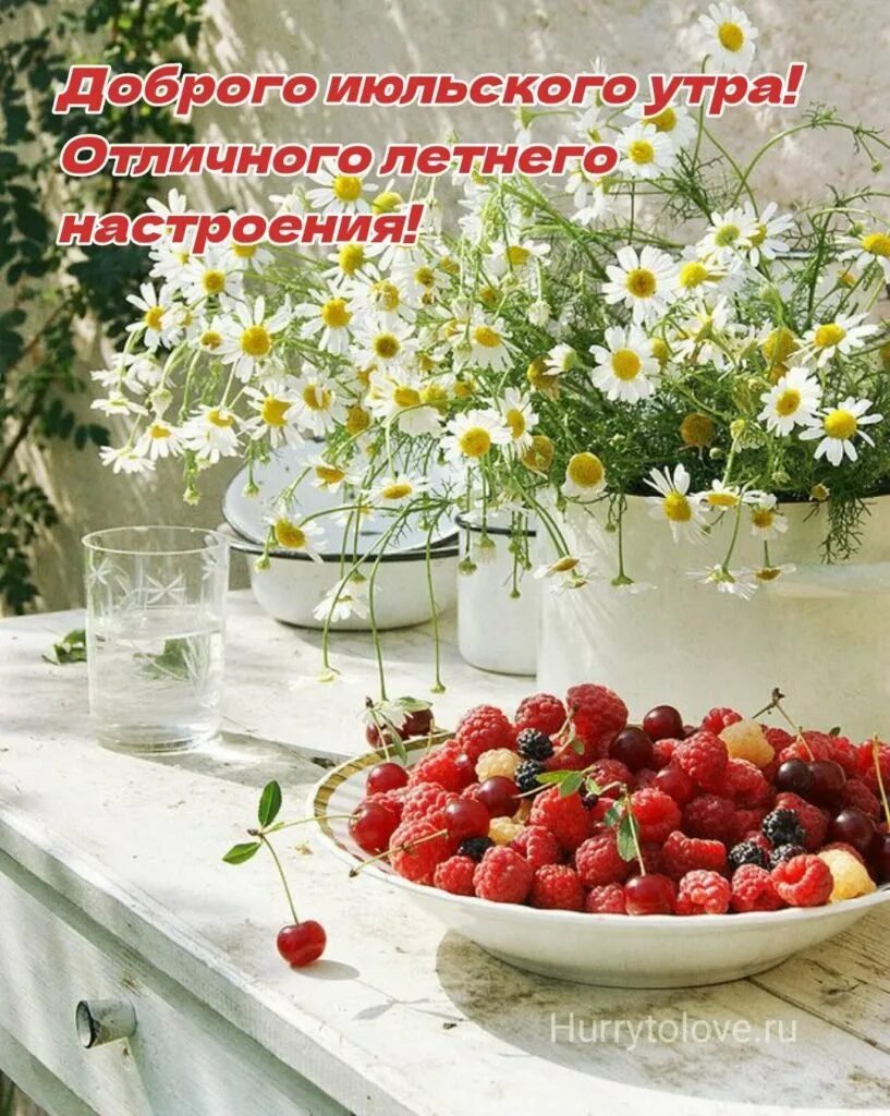 Открытки с добрым летним прекрасным утром. Пожелания с добрым летним утром. Доброго июльского утра женщине. Букет полевых цветов в деревне. Доброго июльского утра женщине.