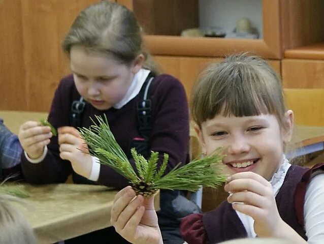 урок ботаники. практикум какой бывает. дети на уроке экологии. урок ботаники. учитель ботаники.