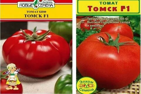 Томат томск отзывы