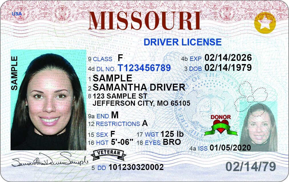 Licensing new. Миссури Driver License. Class "в" Driver License.